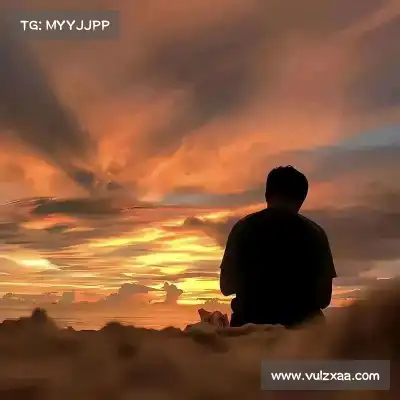 鲍柳泓